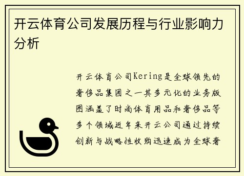 开云体育公司发展历程与行业影响力分析